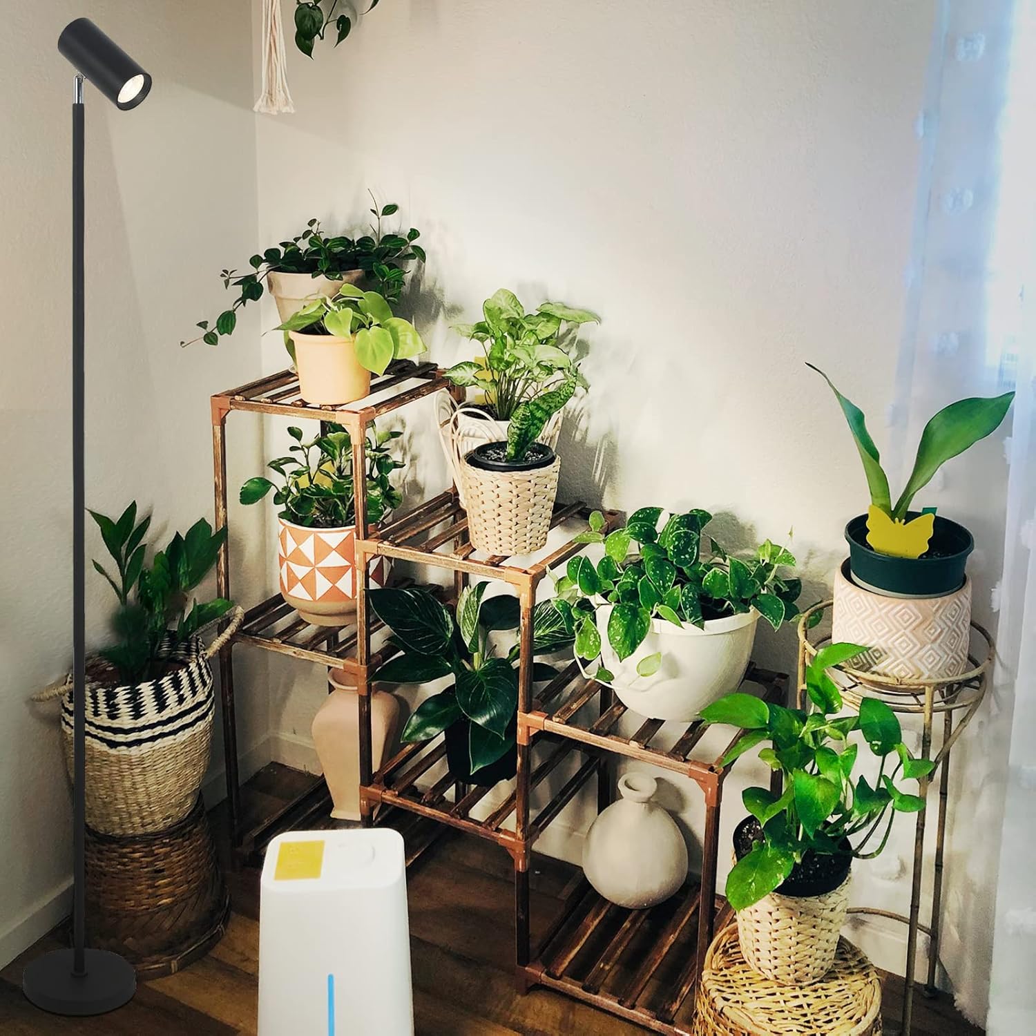 Fortune Candy 20W Standing Plant Grow Light, Full Spectrum Indoor Standing Lamp with COB Bulb for Houseplants